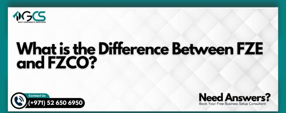 What is the Difference Between FZE and FZCO?
