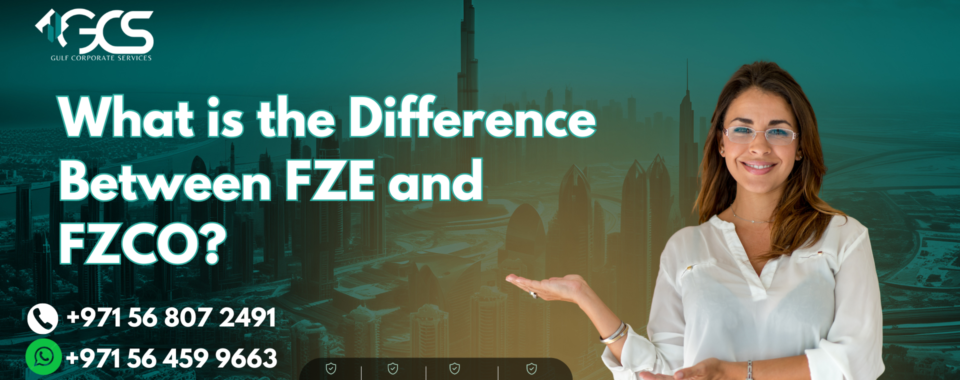 What is the Difference Between FZE and FZCO?