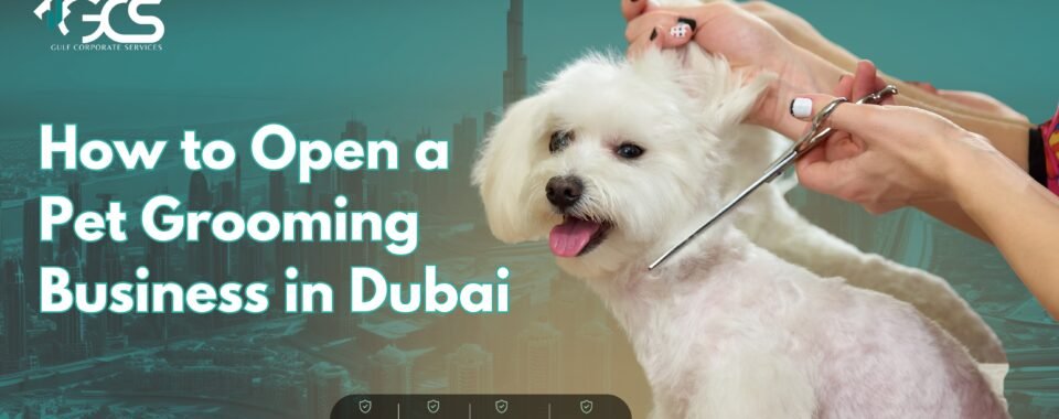 How to Open a Pet Grooming Business in Dubai