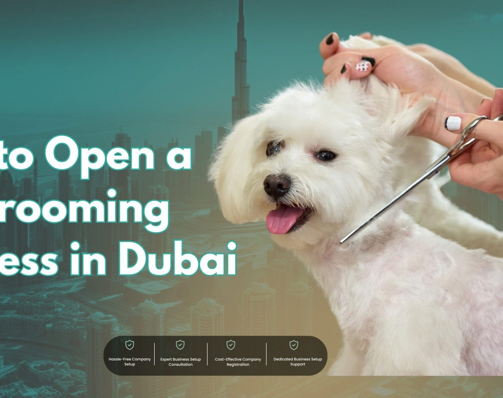 How to Open a Pet Grooming Business in Dubai