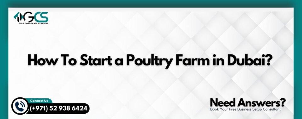 How To Start a Poultry Farm in Dubai?