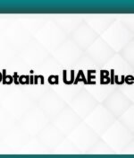 How to Obtain a UAE Blue Visa?