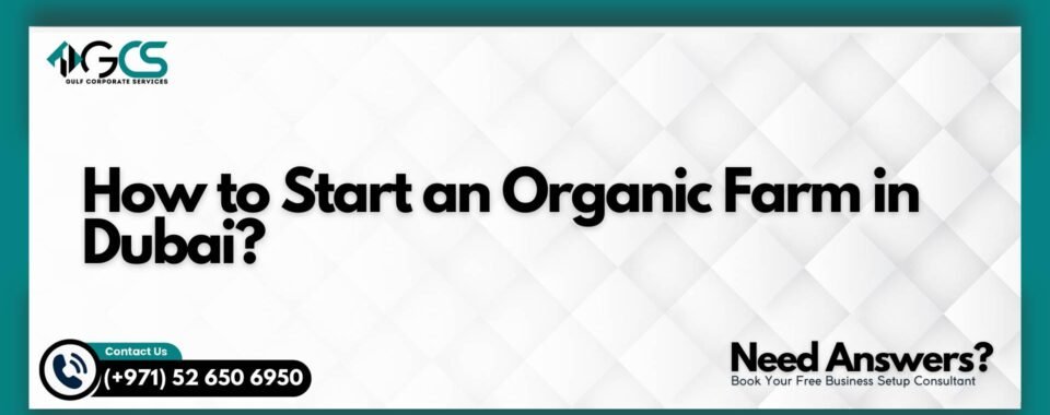 How to Start an Organic Farm in Dubai?