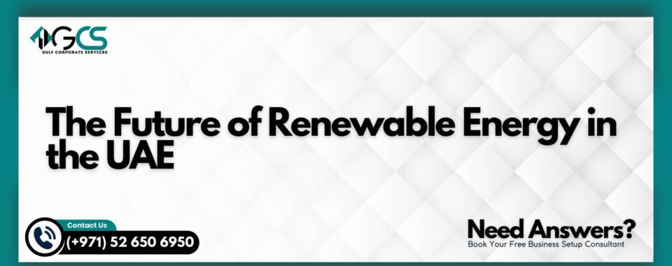 The Future of Renewable Energy in the UAE
