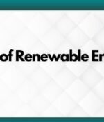 The Future of Renewable Energy in the UAE