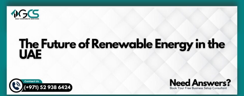 The Future of Renewable Energy in the UAE