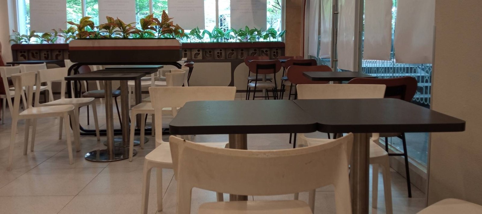 Cafe License in Dubai UAE