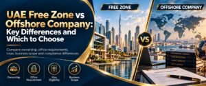 UAE Free zone vs Offshore company Comparison Guide